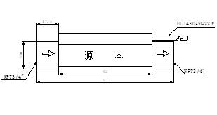 FS-300 Flow Switch